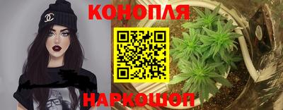 хмурый Шелехов