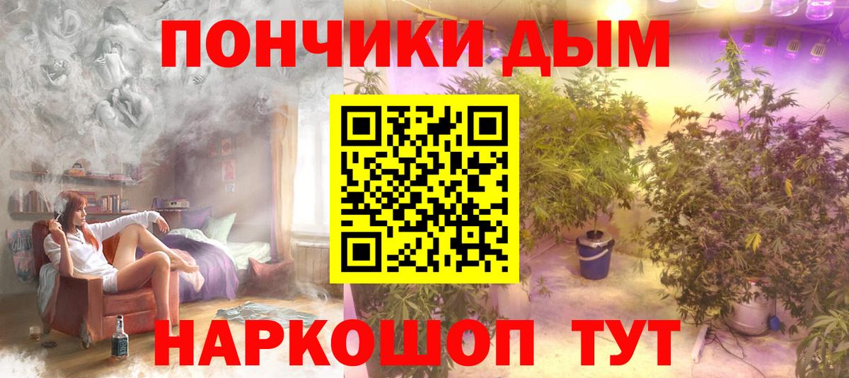 Бошки Шишки конопля  Бошки Шишки White Widow  Вышний Волочёк  Канабис ГИДРОПОН  Вход с VPN 